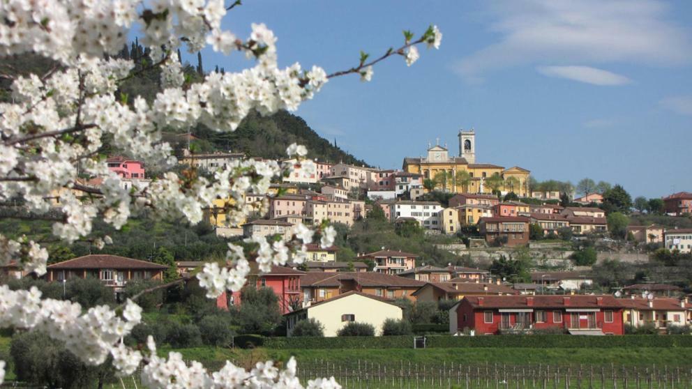 Aurora Bed & Breakfast Cavaion Veronese Exterior photo